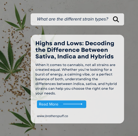 Screenshot 2025 03 11 at 5.06.51 PM